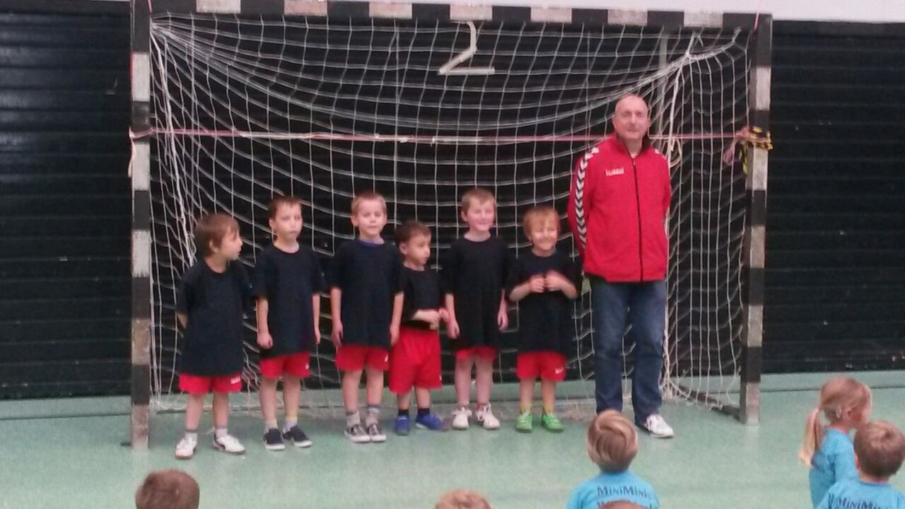 Minis 2015